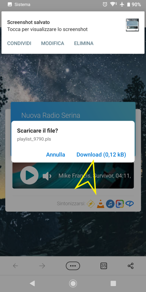 Si aprirà una pagina che vi chiederà di fare il download del file playlist_9790.pls confermate e se sullo schermo appare l'indicazione della cartella dove verrà salvato il file prendetene nota